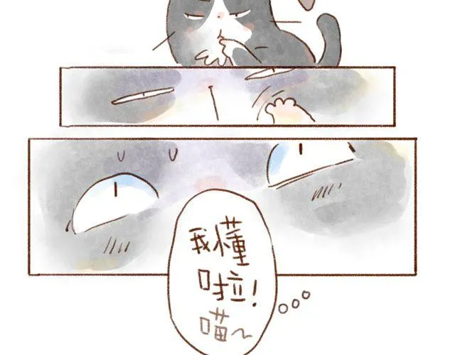 同样都是猫，为什么差别这么大 第18页