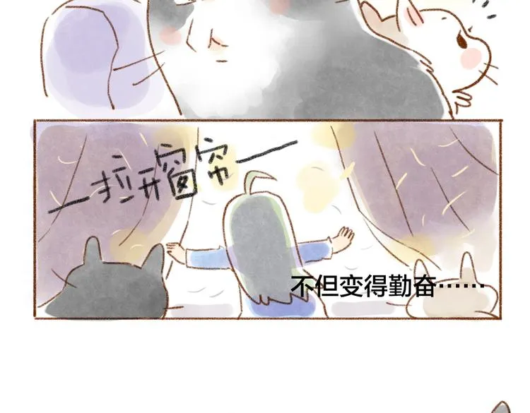 麦麦被鄙视了 第14页