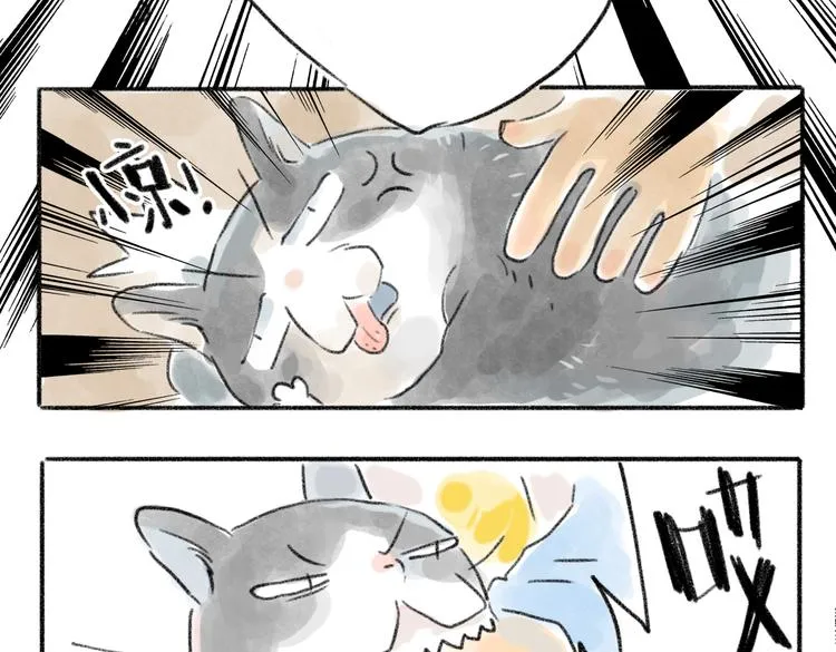 我被猫咬了 第15页