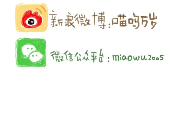 取得猫咪信任的方法 第21页
