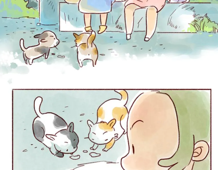 看我的"猫雷达"！ 第3页