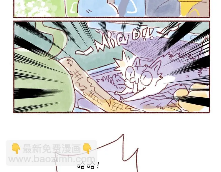 看我的"猫雷达"！ 第14页
