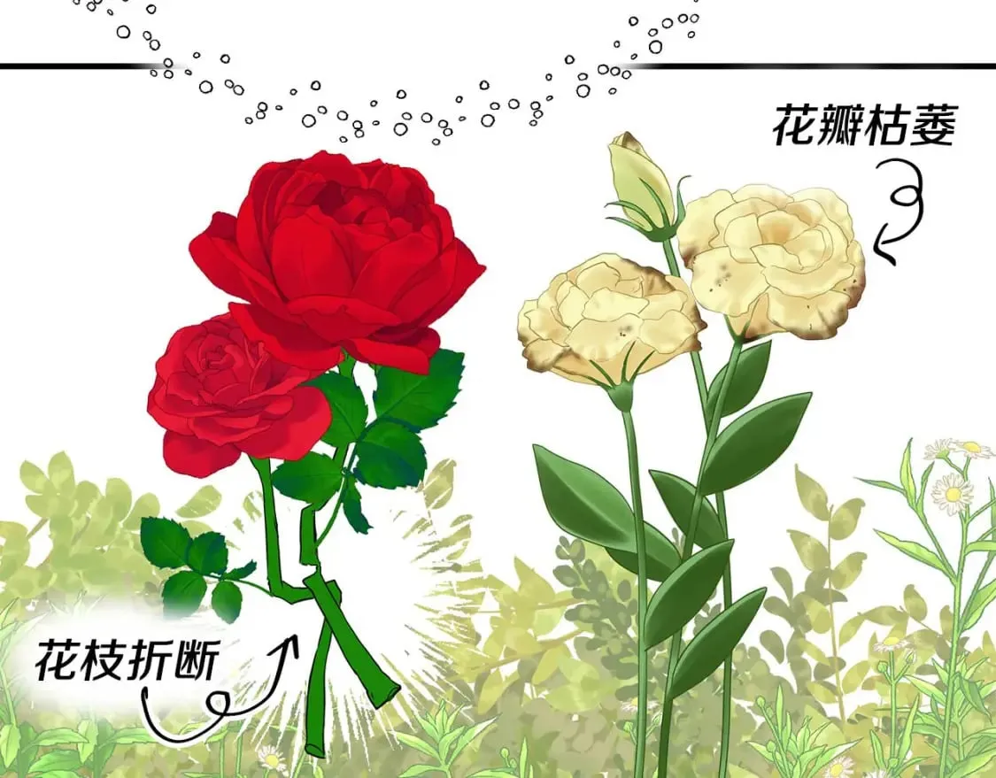 第28话 宝石屋难开 第57页