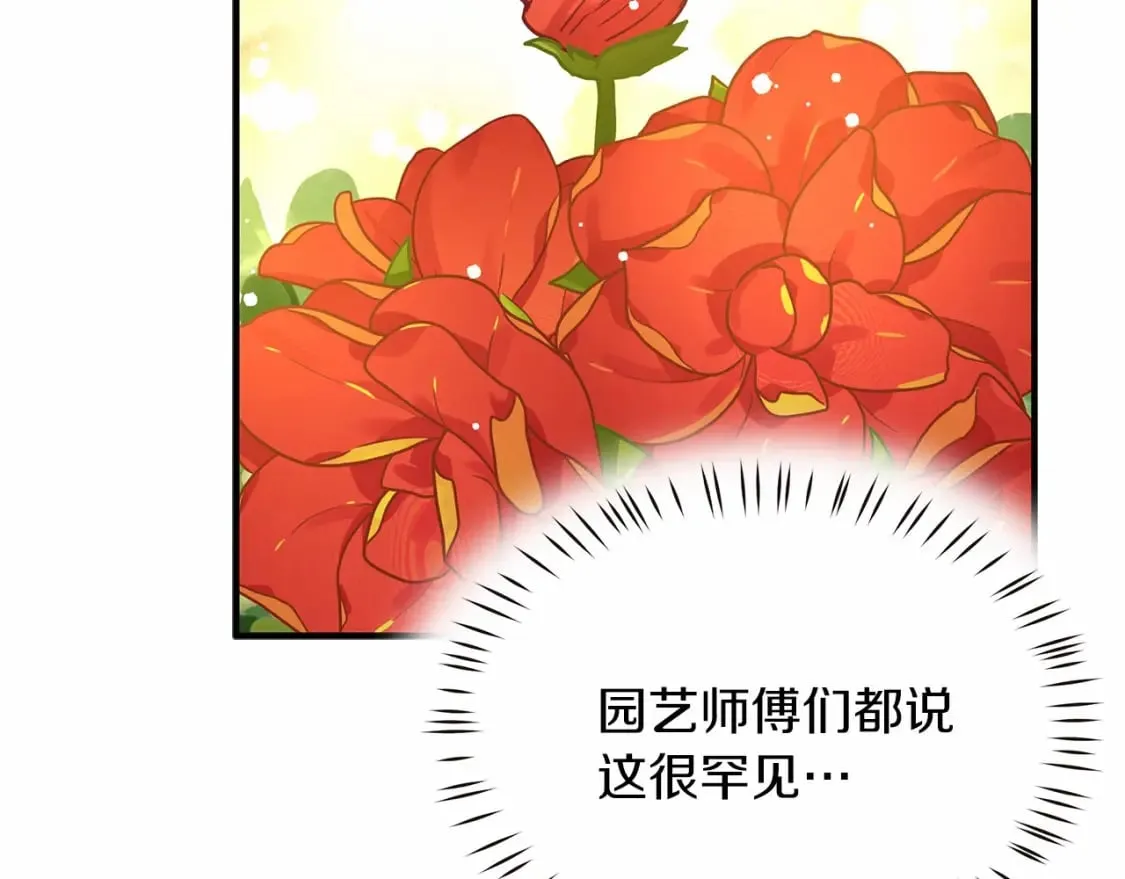 第38话 宝石屋方案 第27页