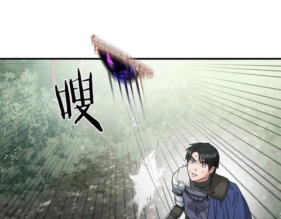 完结篇 尼亚 第58页