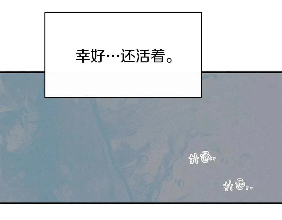 完结篇 尼亚 第120页
