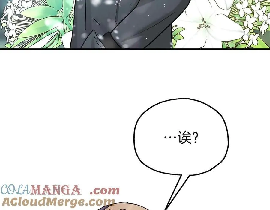 完结篇 尼亚 第233页