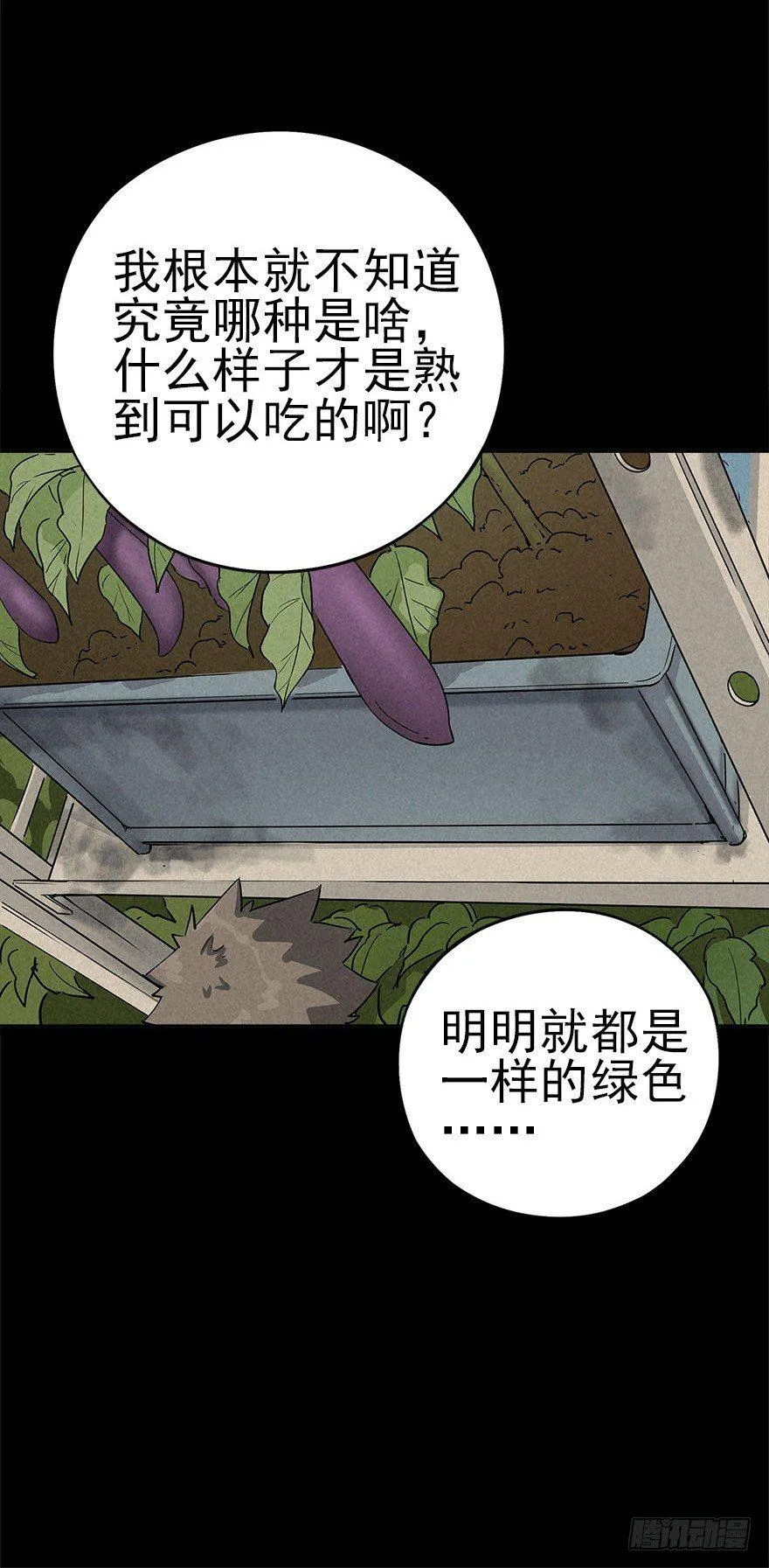 食材与甄选知识 第25页