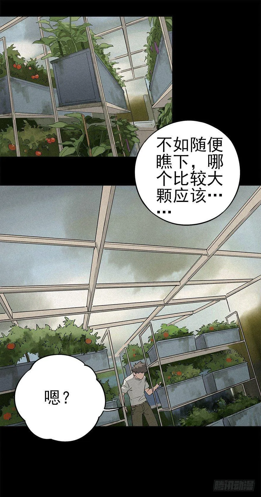 食材与甄选知识 第26页