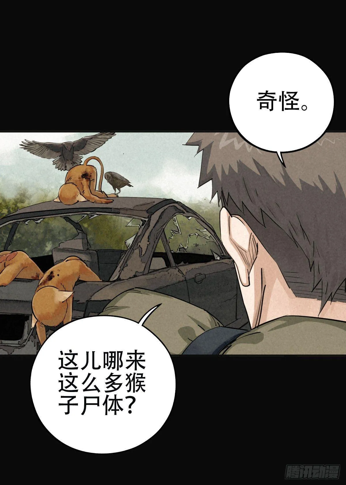 鸠占鹊巢 第15页