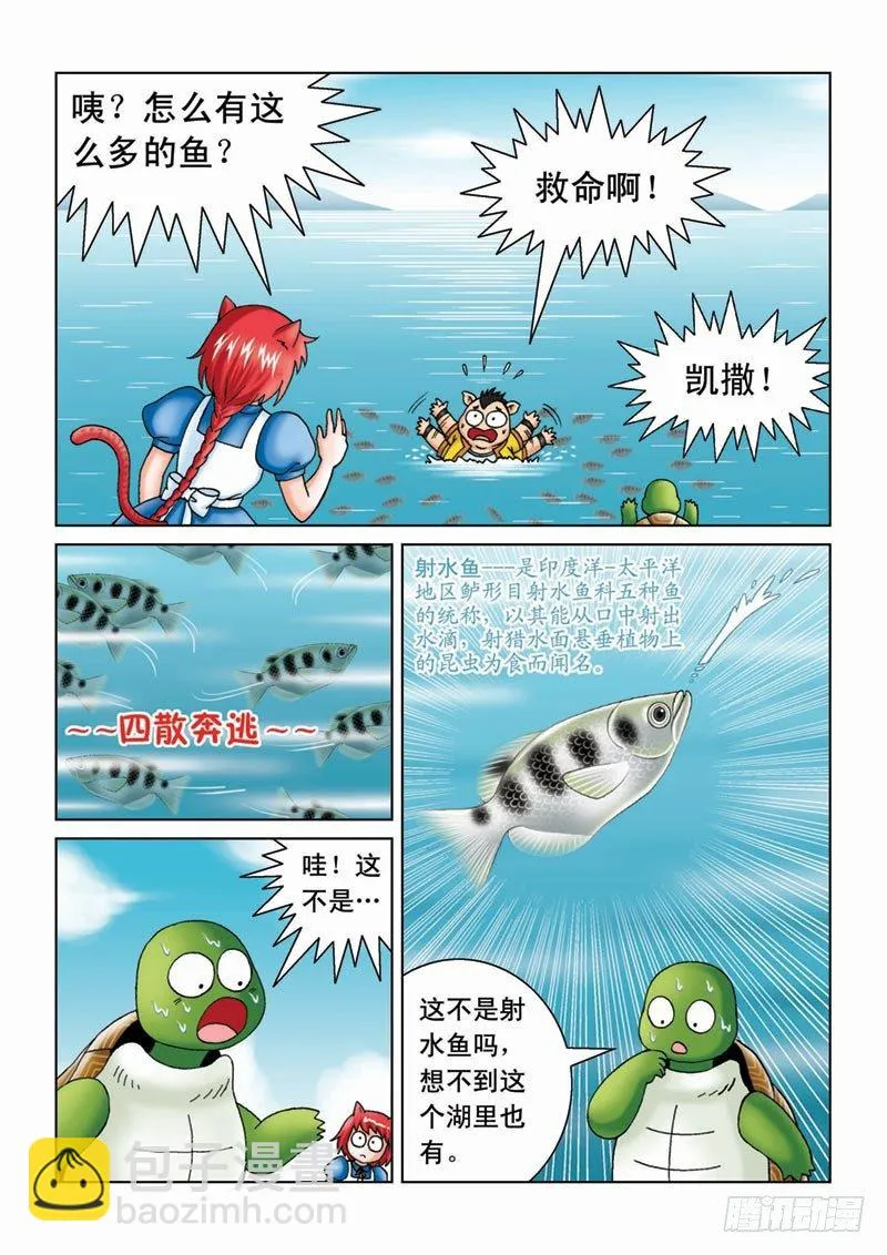 07金猪银猪 第3页