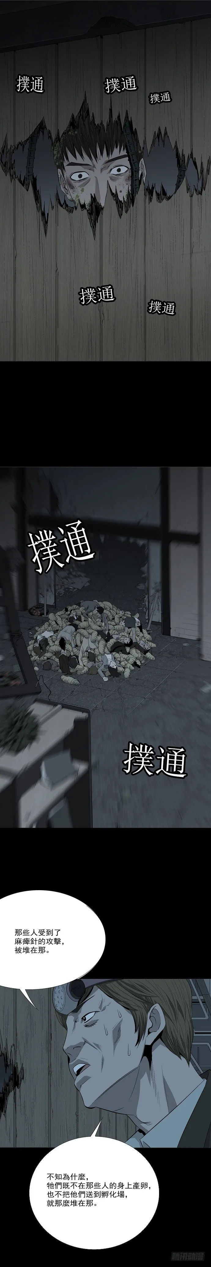 蚁群 第10页