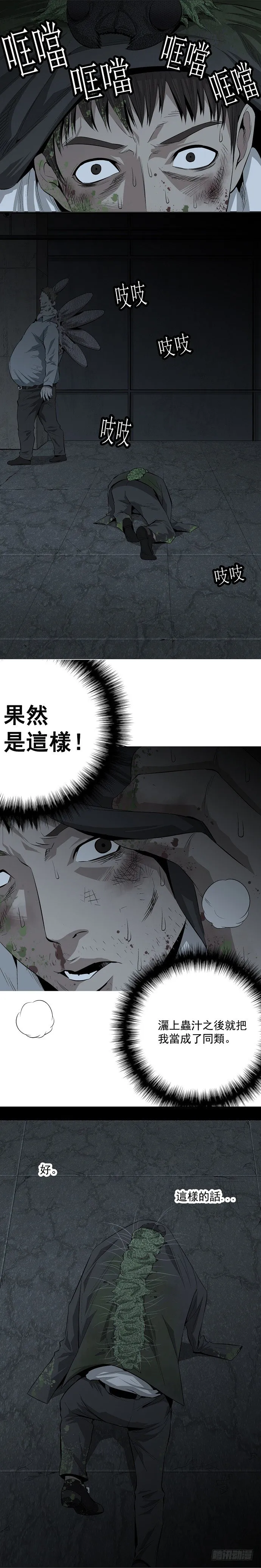 蚁群 第17页