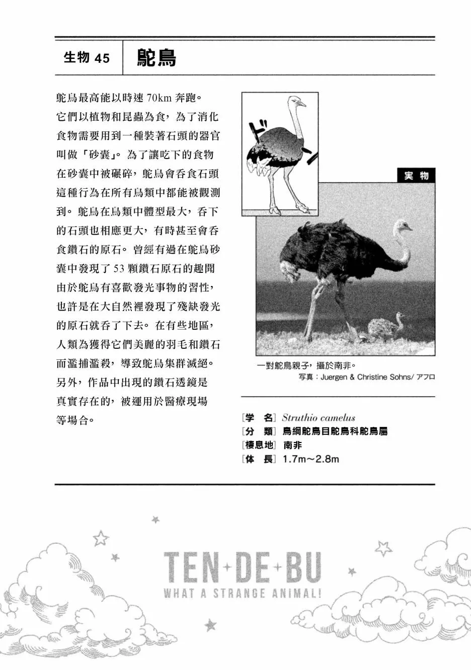 第16话 第18页