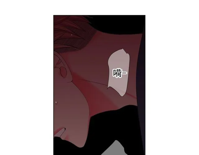 第17话 暗中观察 第149页