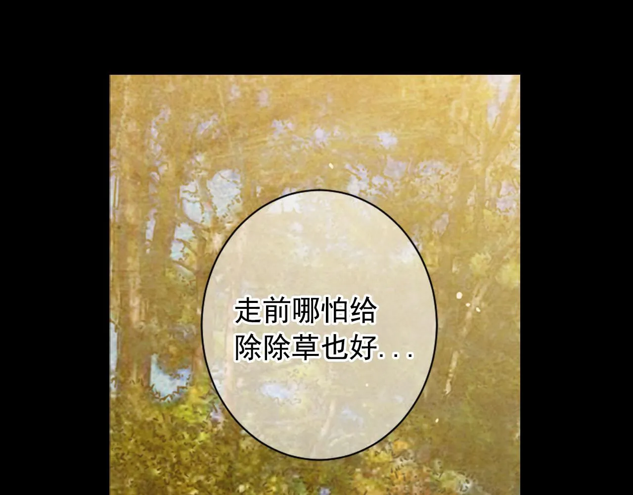 番外1 归途 第155页
