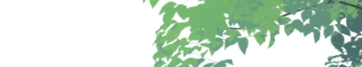 第21话 我会对师父负责到底的 第84页