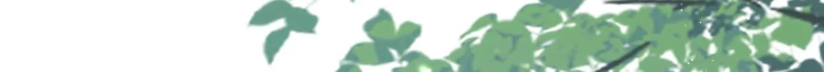 第46话 一定要传达给你 第96页