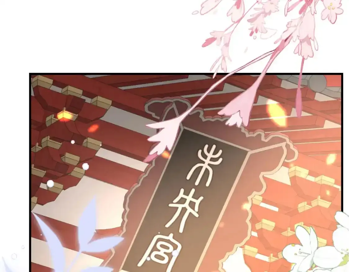 双蛋活动来啦！ 第8页