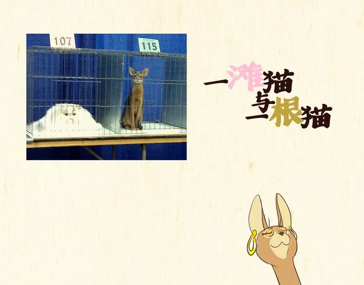 木乃伊 第1页