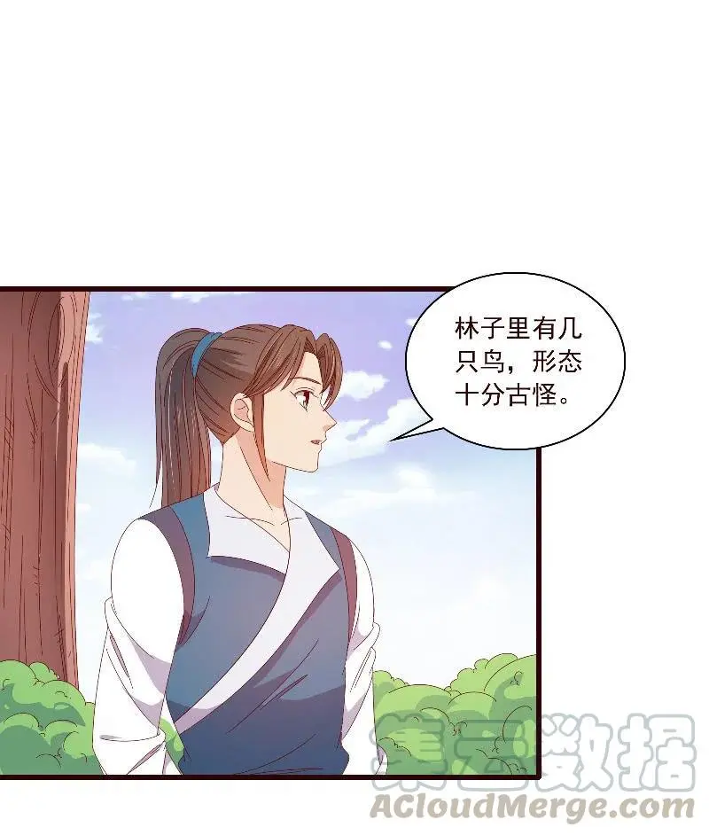 无赖王妃【093试探风起轩】 第40页
