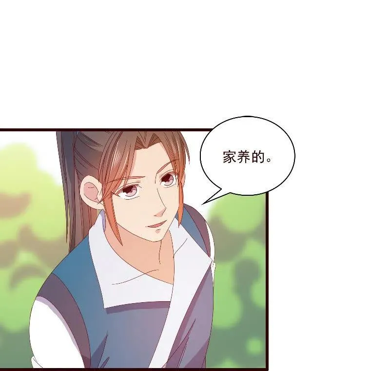 无赖王妃【093试探风起轩】 第42页