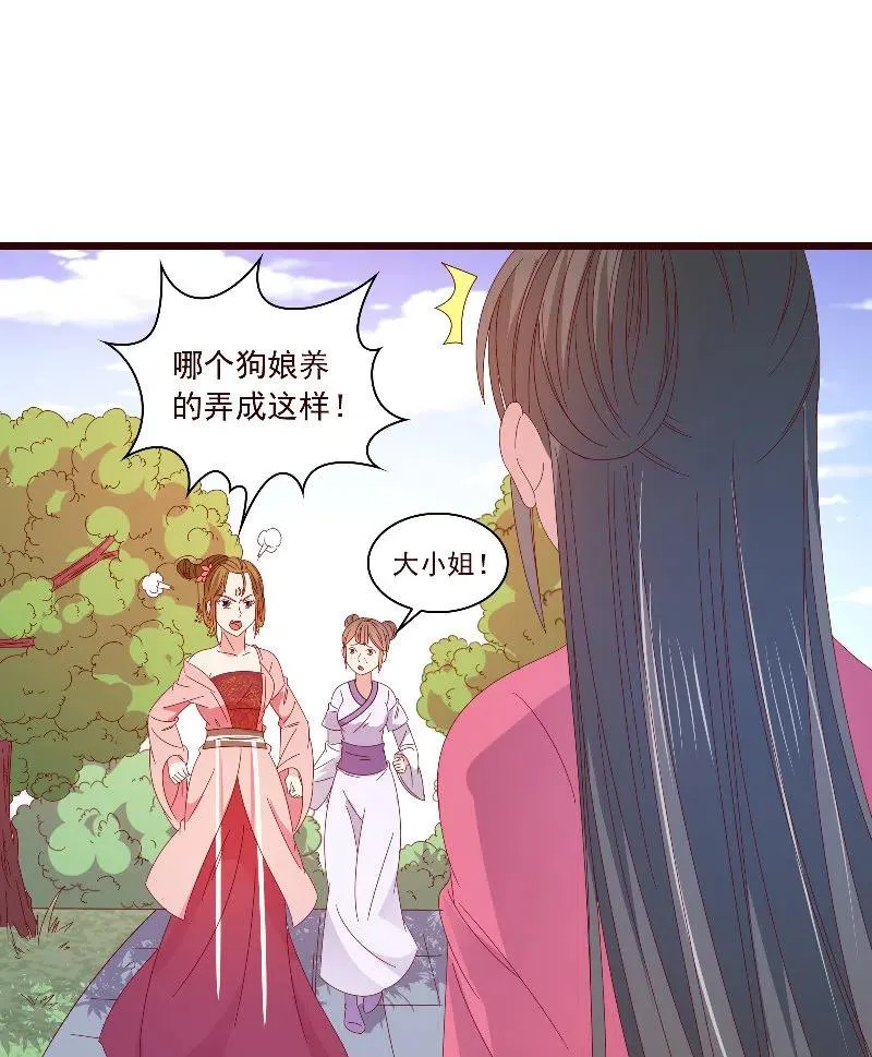 无赖王妃【090清大小姐】 第48页