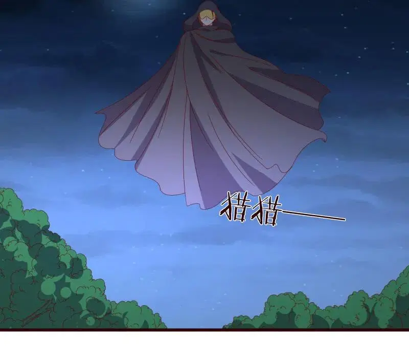 无赖王妃【087萧声】 第38页