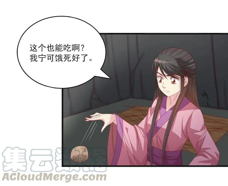 无赖王妃【55计谋】 第4页