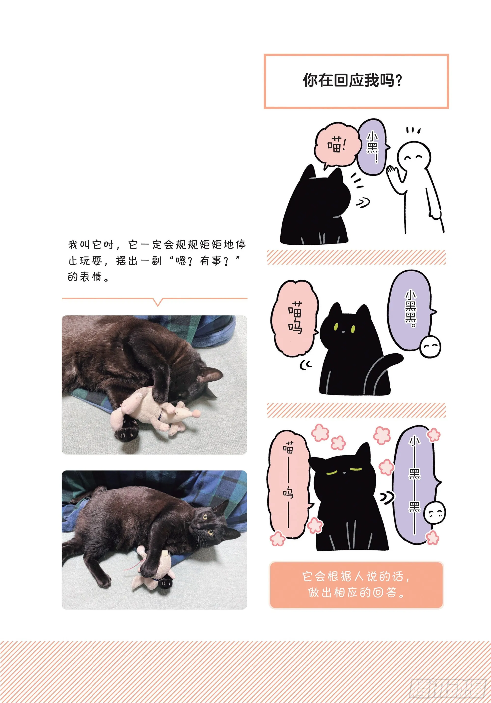 第8章 和猫咪贴在一起的寒冬 第4页