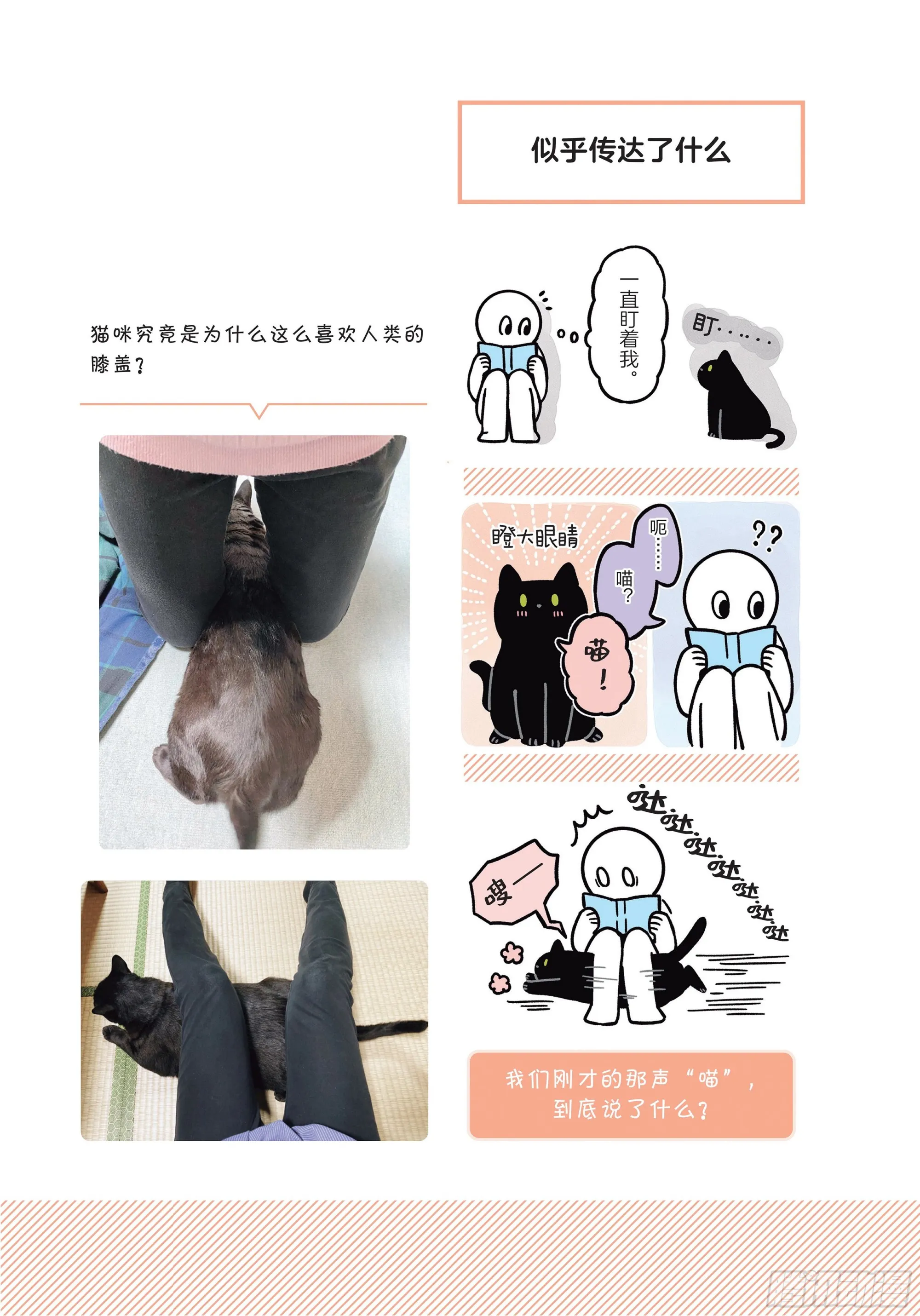 第8章 和猫咪贴在一起的寒冬 第5页