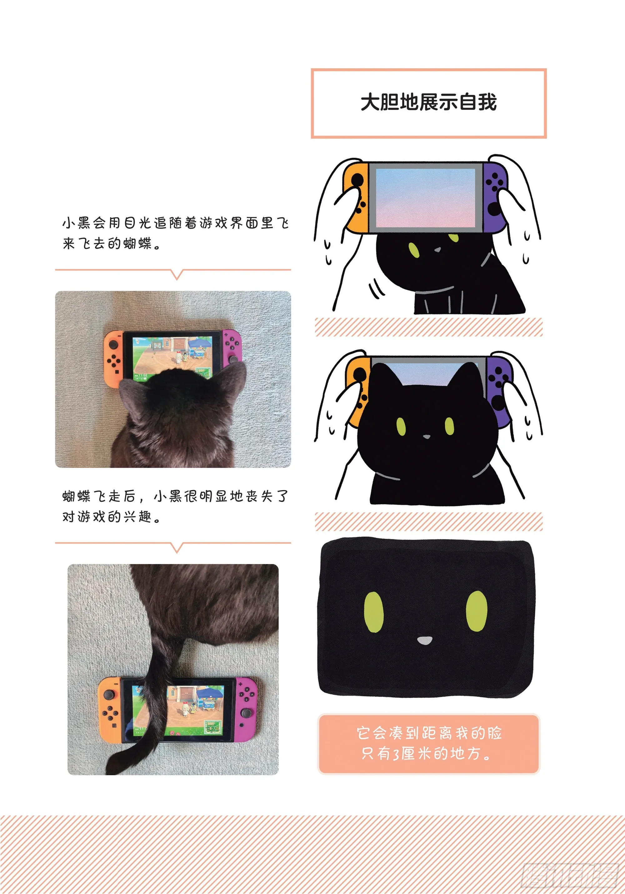 第8章 和猫咪贴在一起的寒冬 第7页