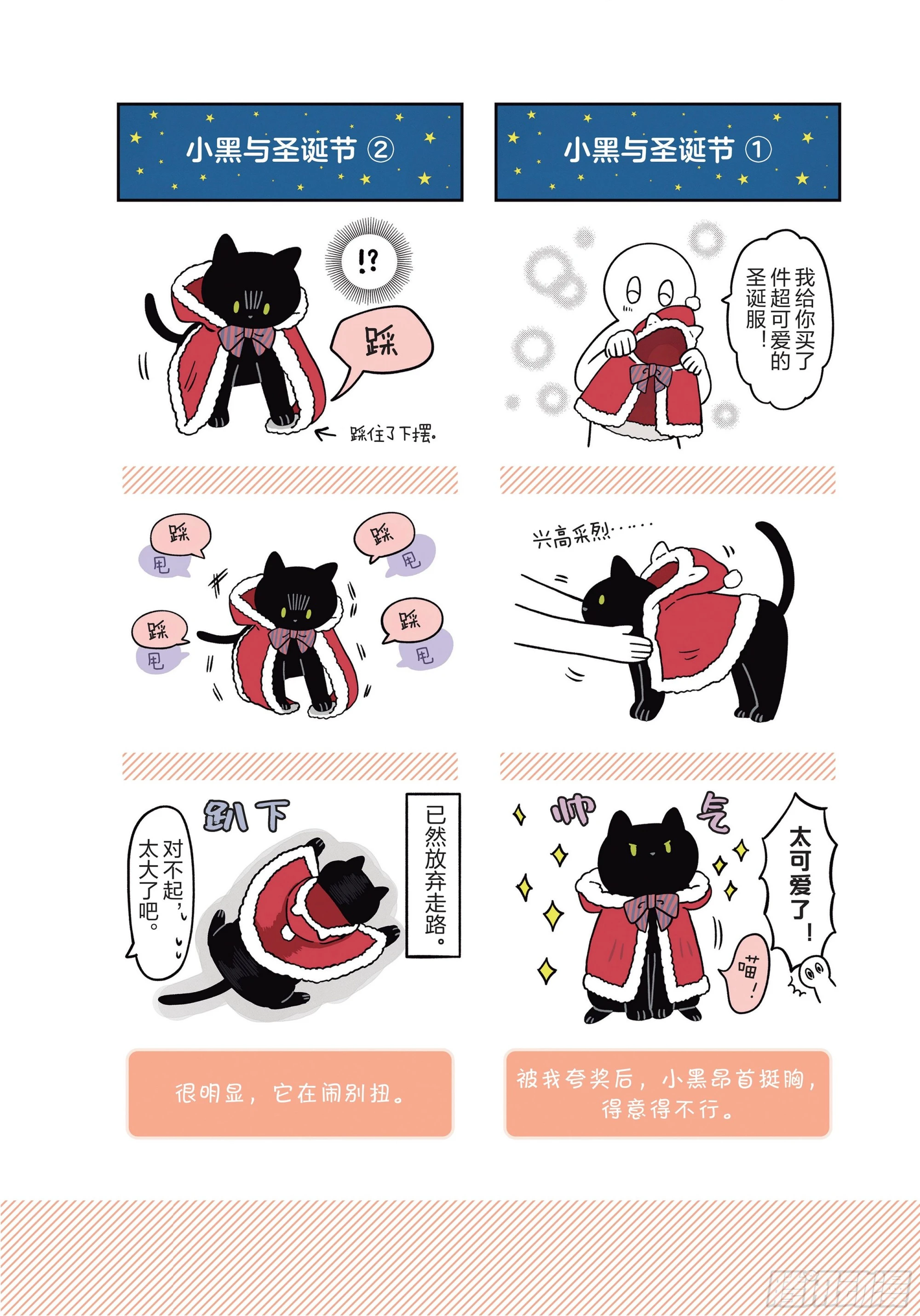 第8章 和猫咪贴在一起的寒冬 第12页