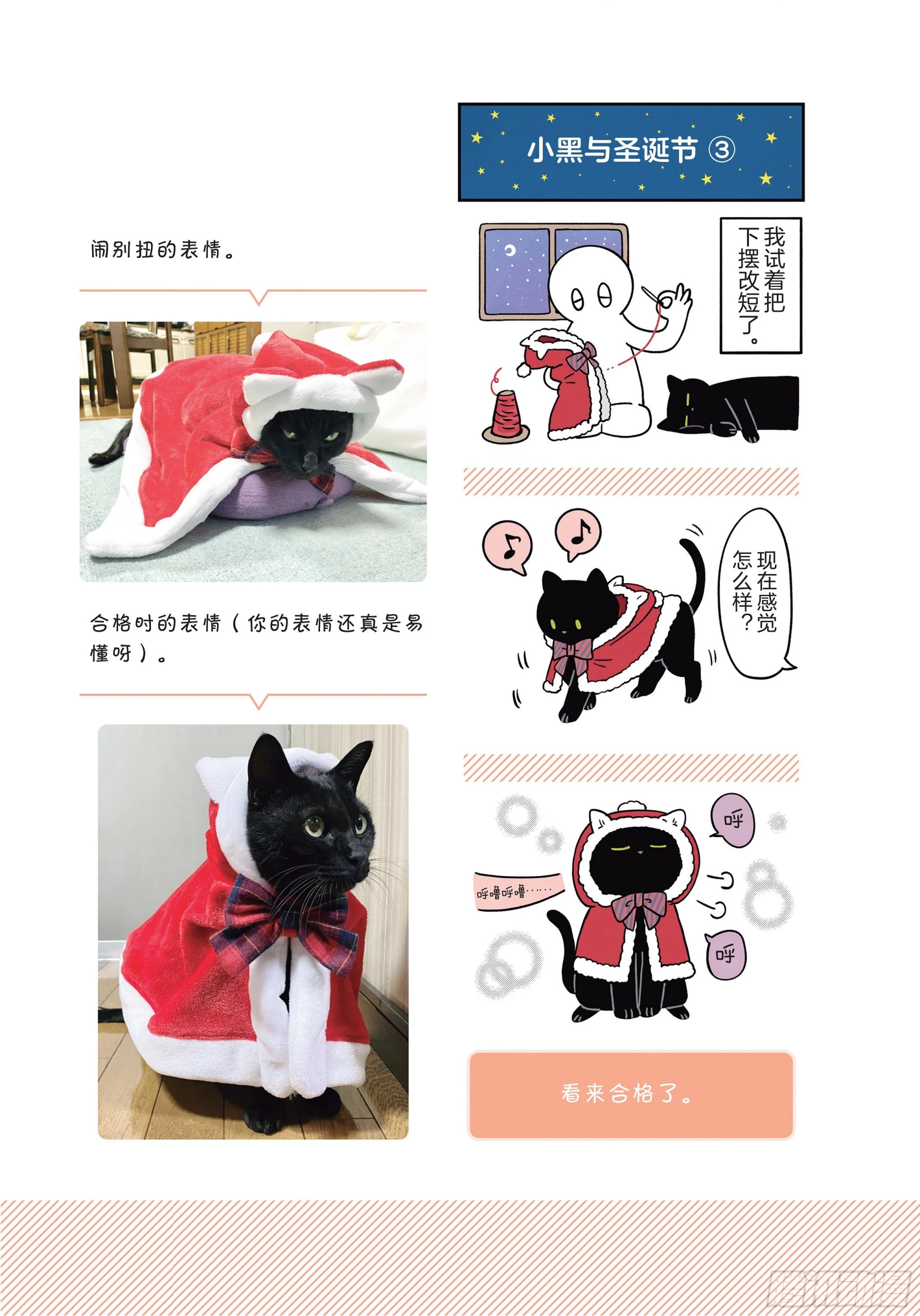 第8章 和猫咪贴在一起的寒冬 第13页