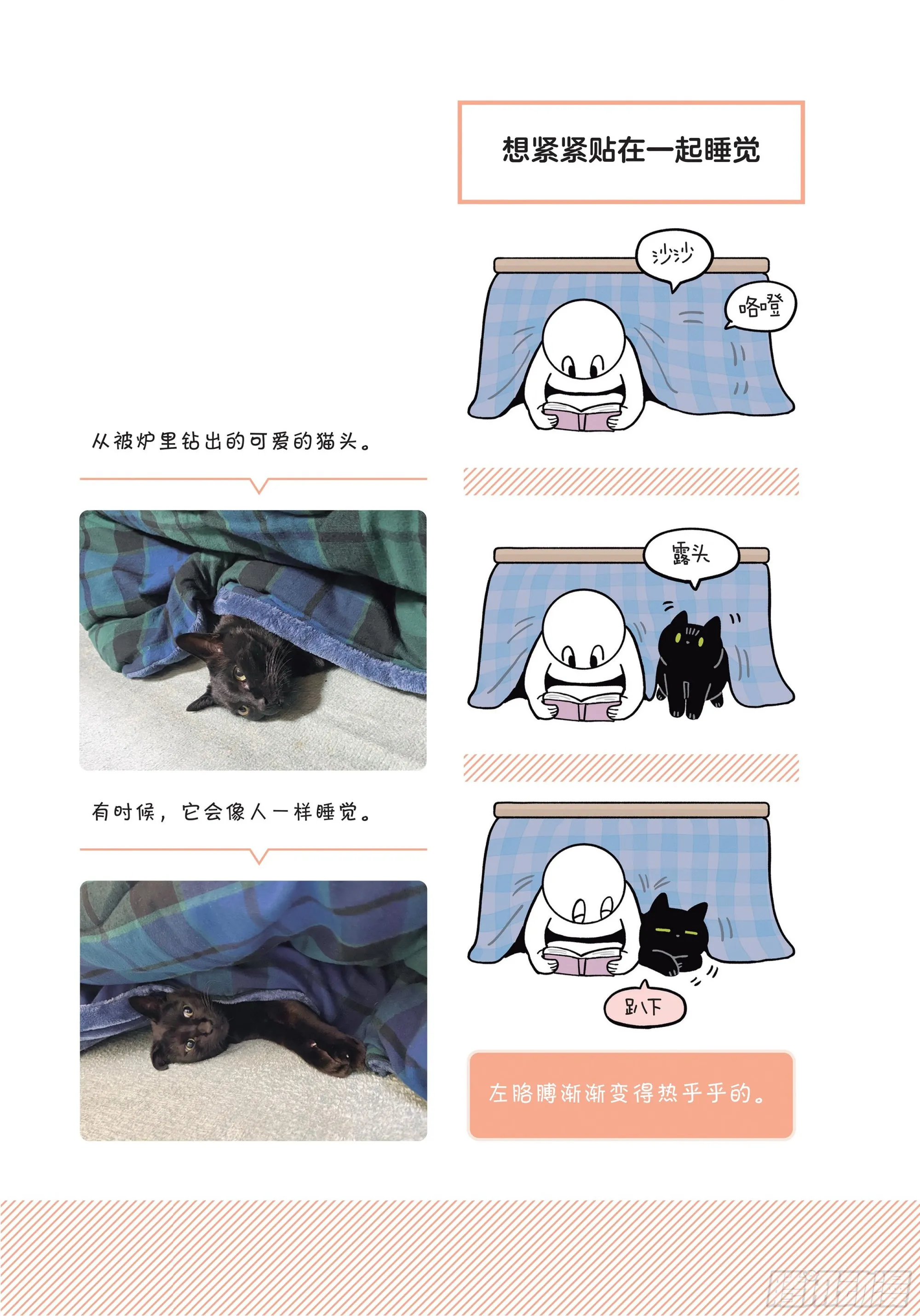 第8章 和猫咪贴在一起的寒冬 第17页