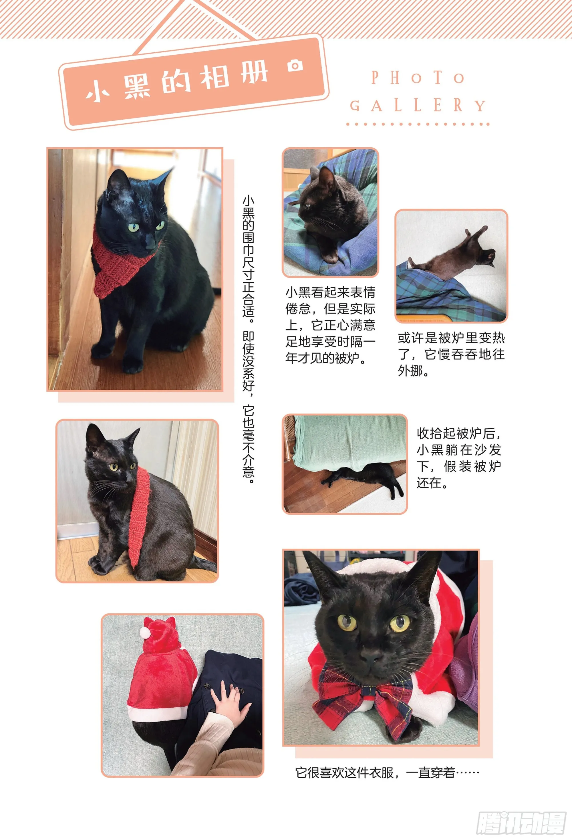 第8章 和猫咪贴在一起的寒冬 第23页