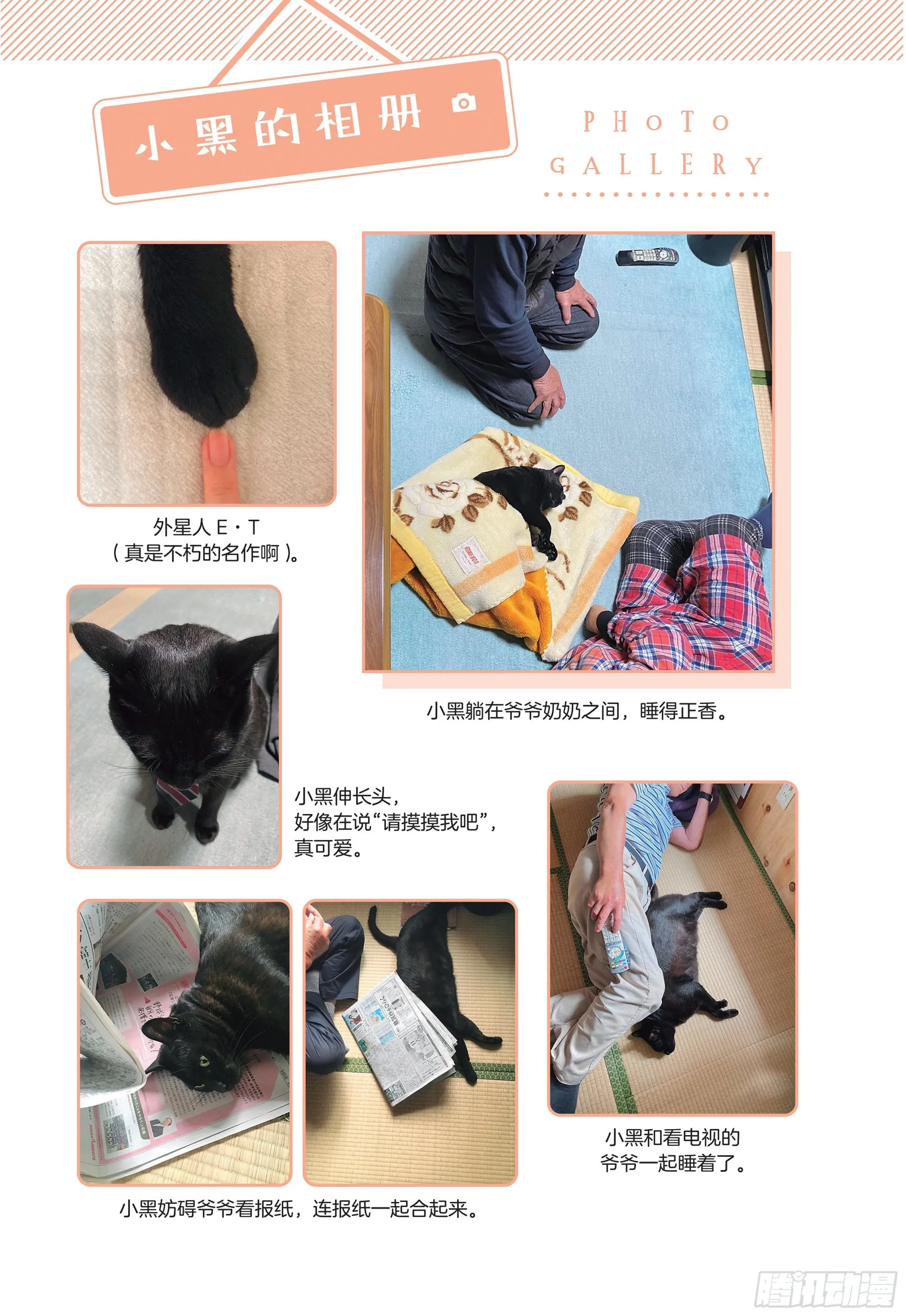 第8章 和猫咪贴在一起的寒冬 第35页