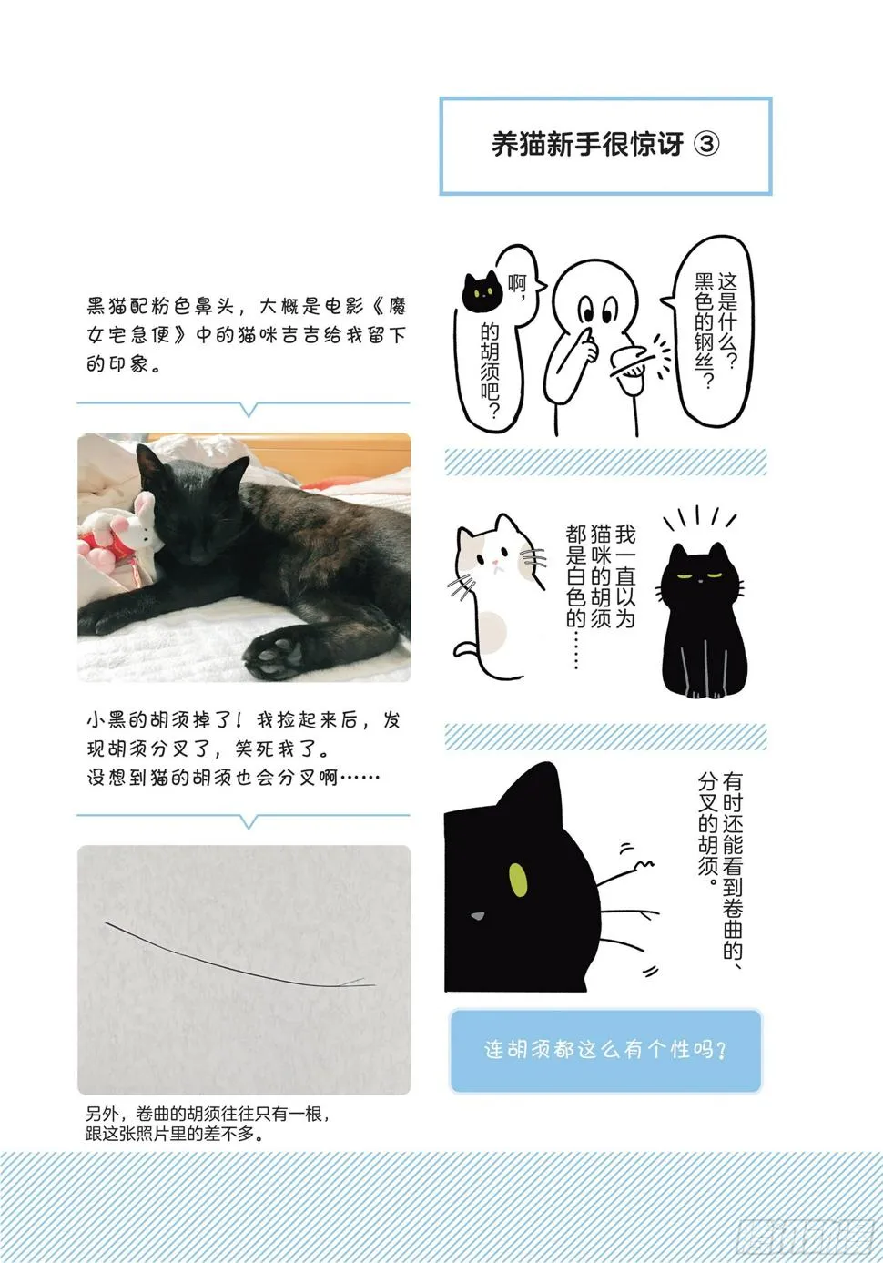 第7章 开心 第3页