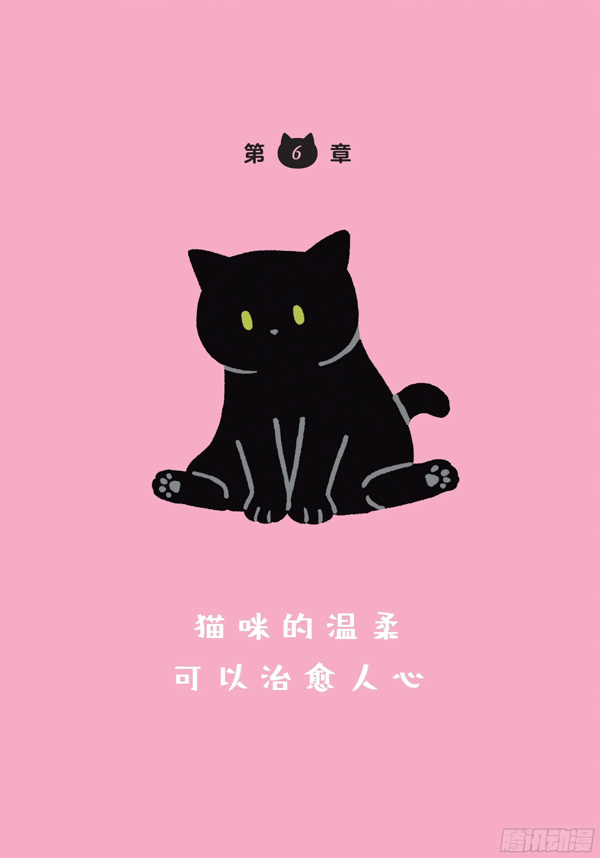 第6章 猫咪的温柔可以治愈人心 第1页