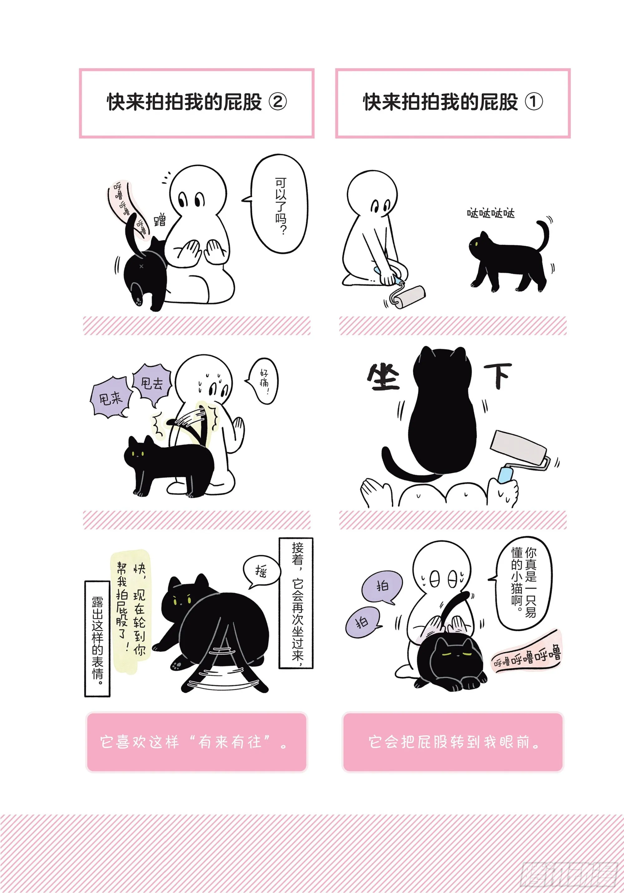 第6章 猫咪的温柔可以治愈人心 第4页