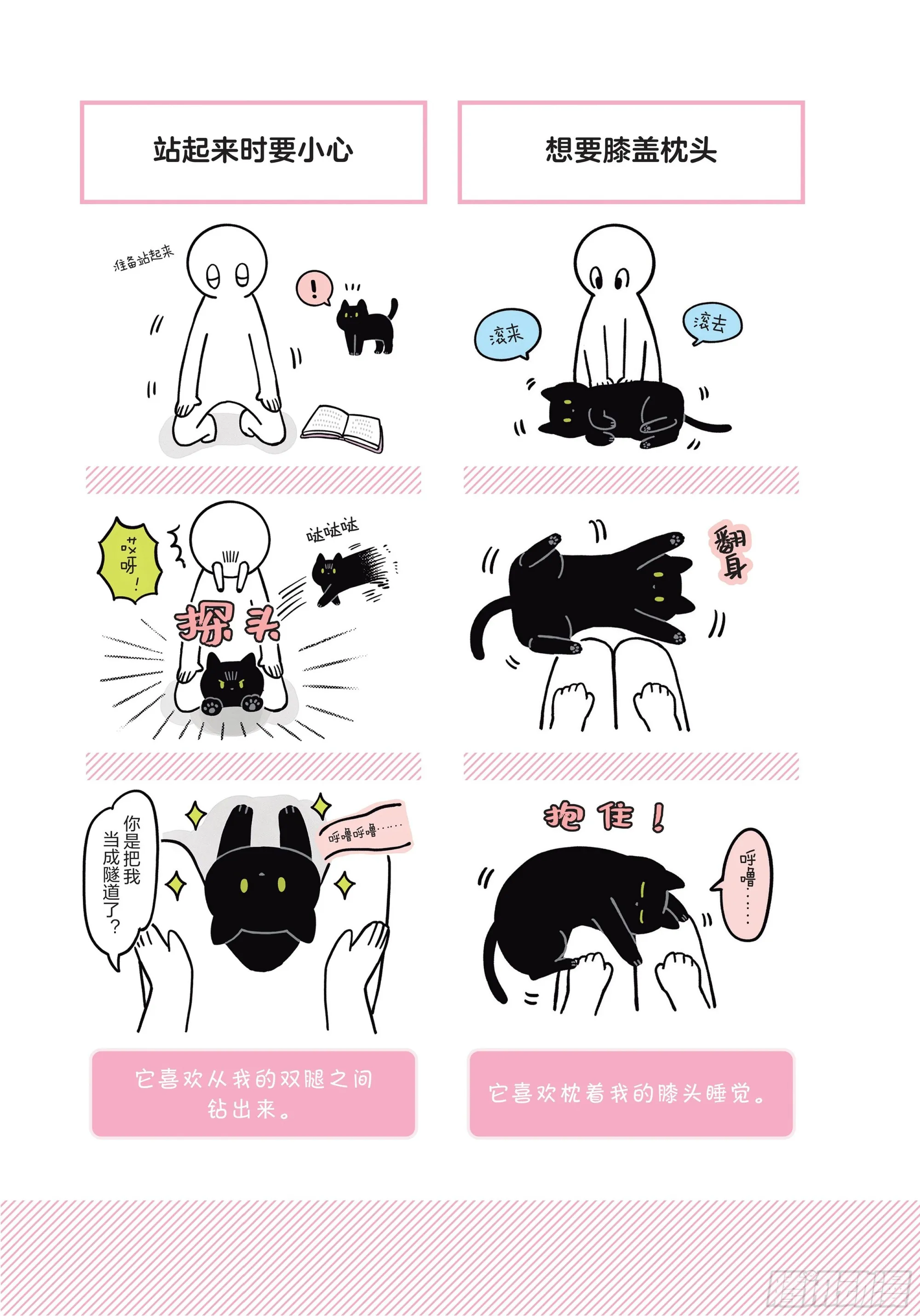 第6章 猫咪的温柔可以治愈人心 第5页
