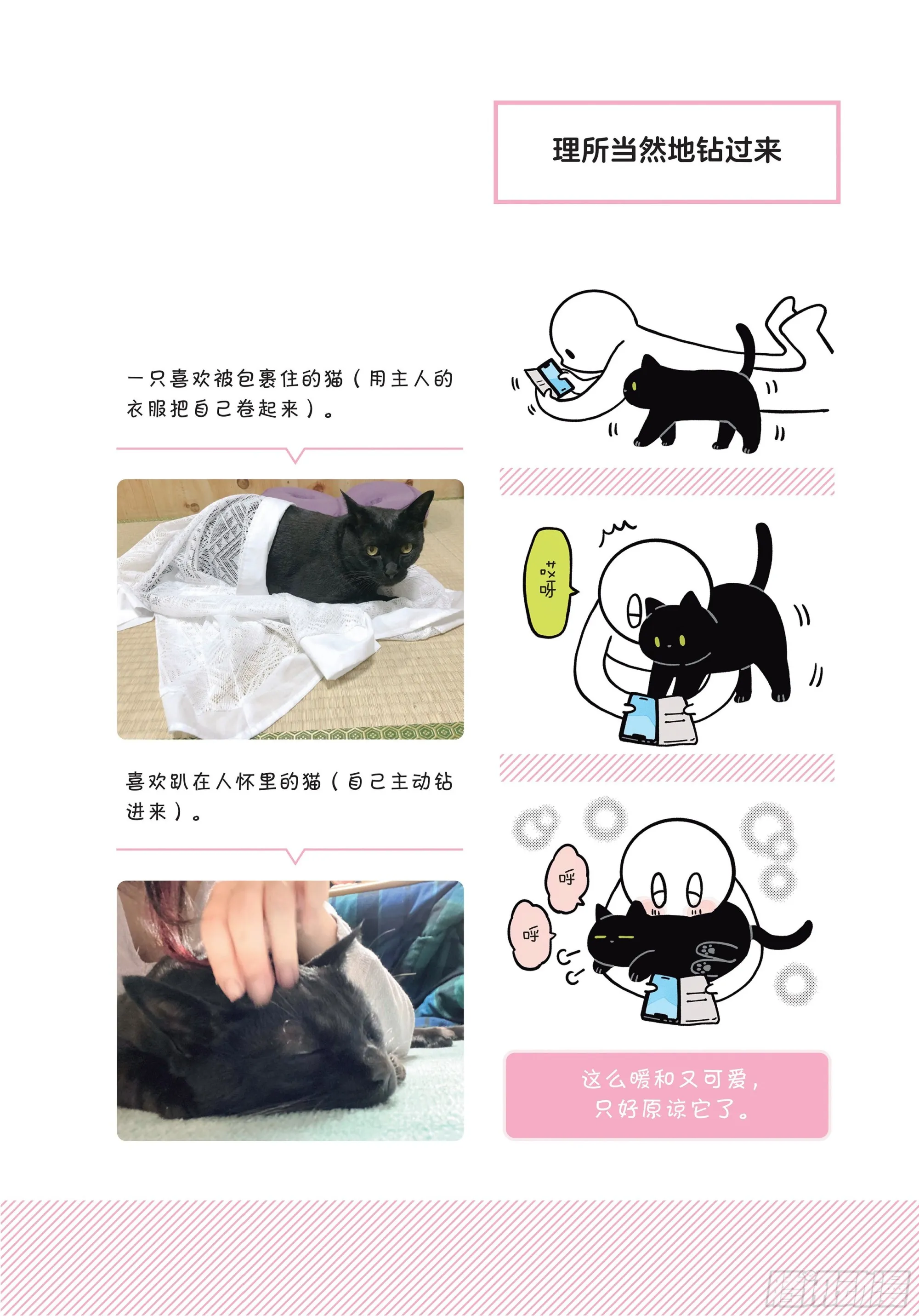 第6章 猫咪的温柔可以治愈人心 第6页