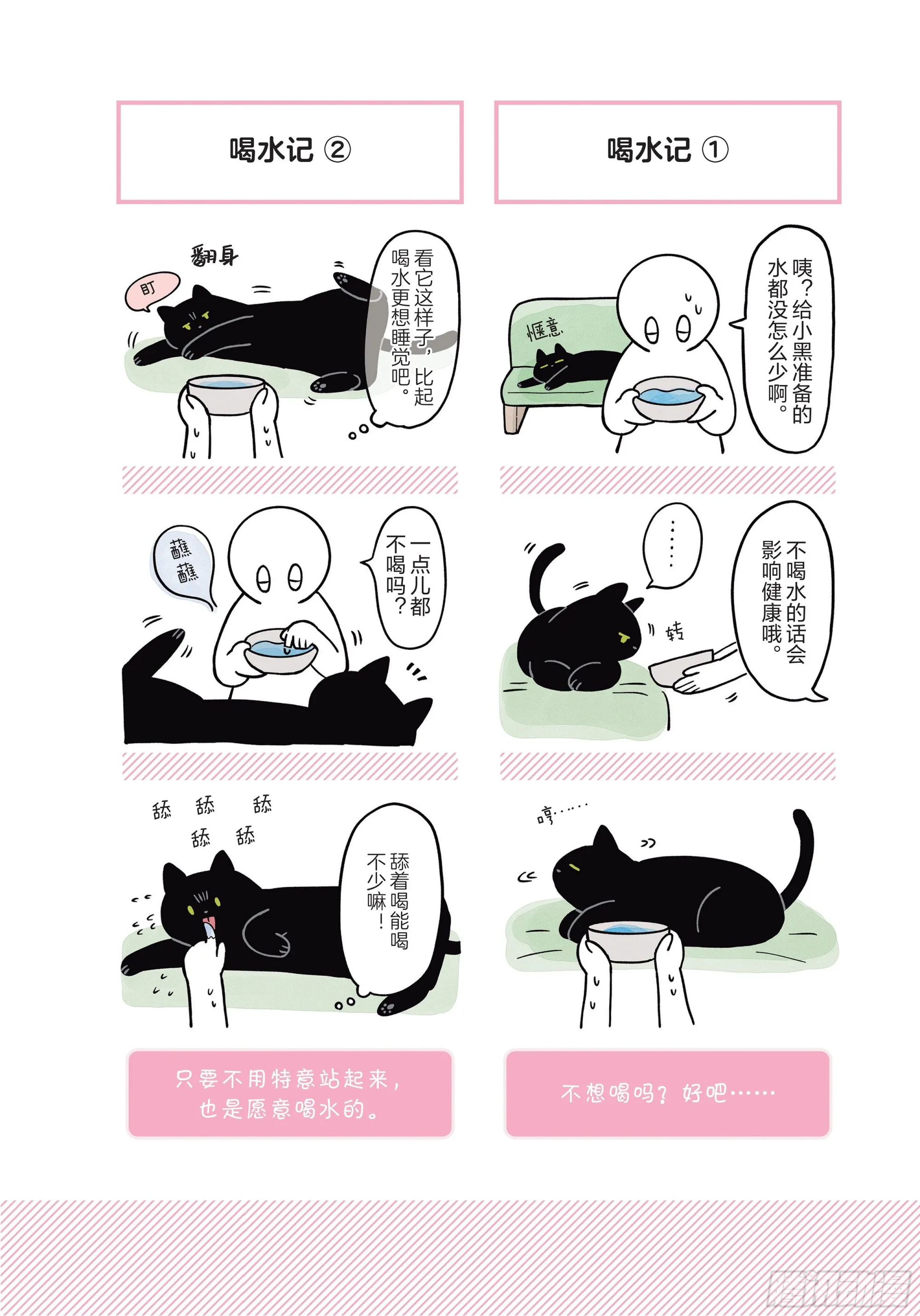 第6章 猫咪的温柔可以治愈人心 第8页