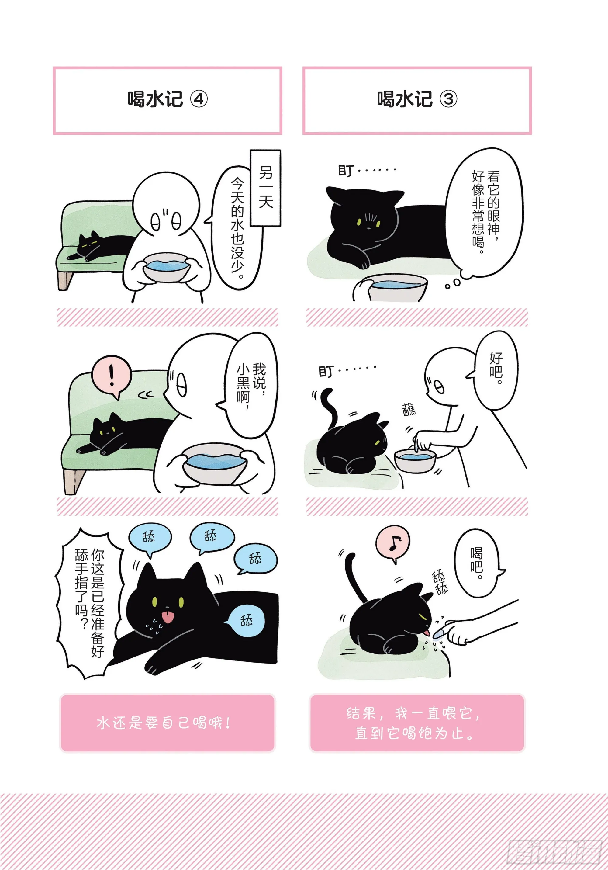 第6章 猫咪的温柔可以治愈人心 第9页