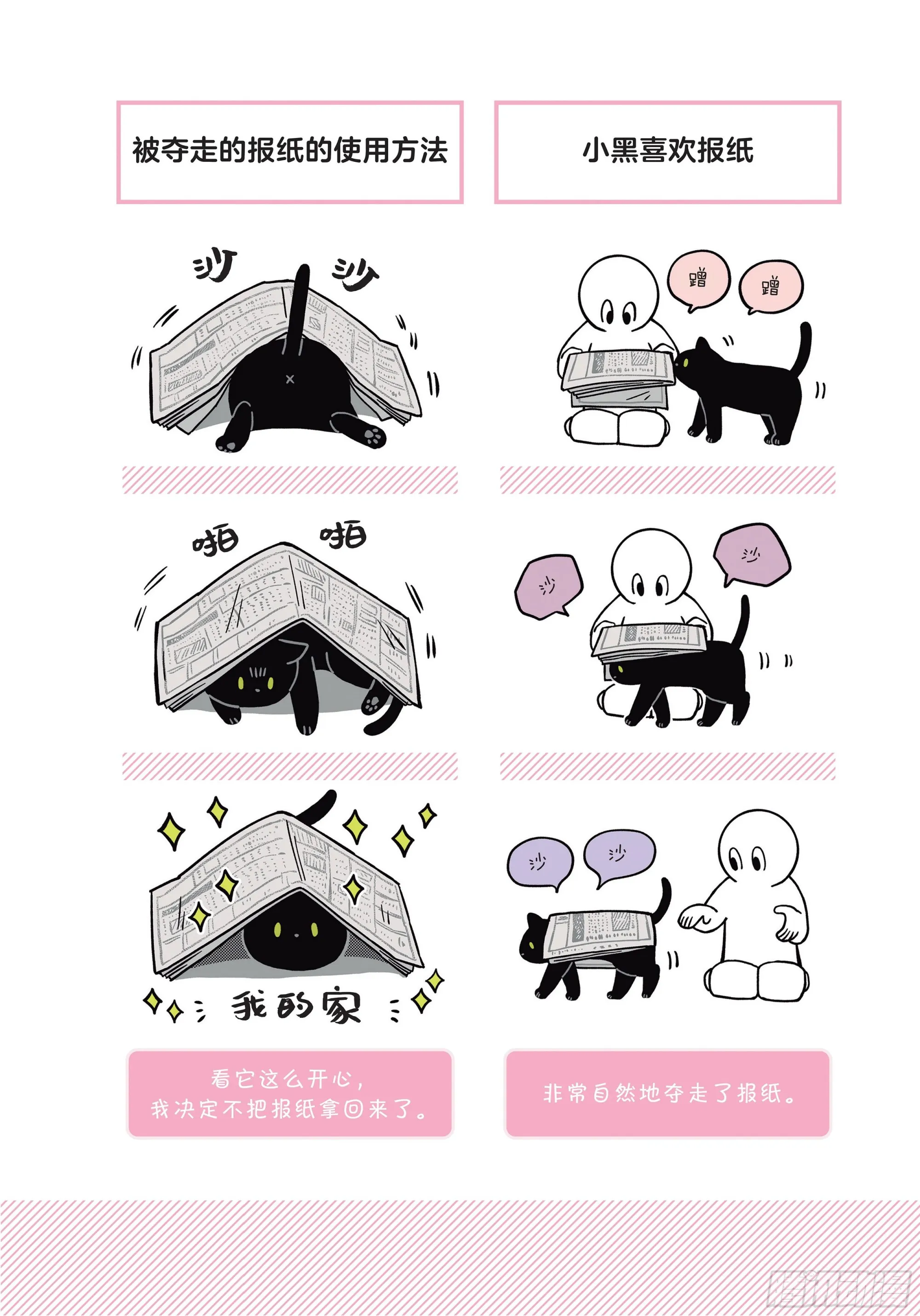 第6章 猫咪的温柔可以治愈人心 第10页