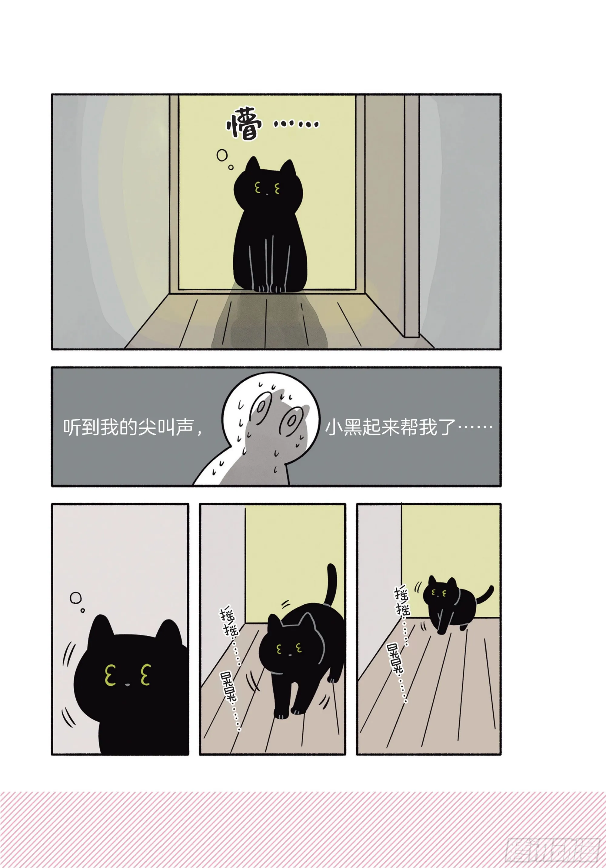 第6章 猫咪的温柔可以治愈人心 第15页