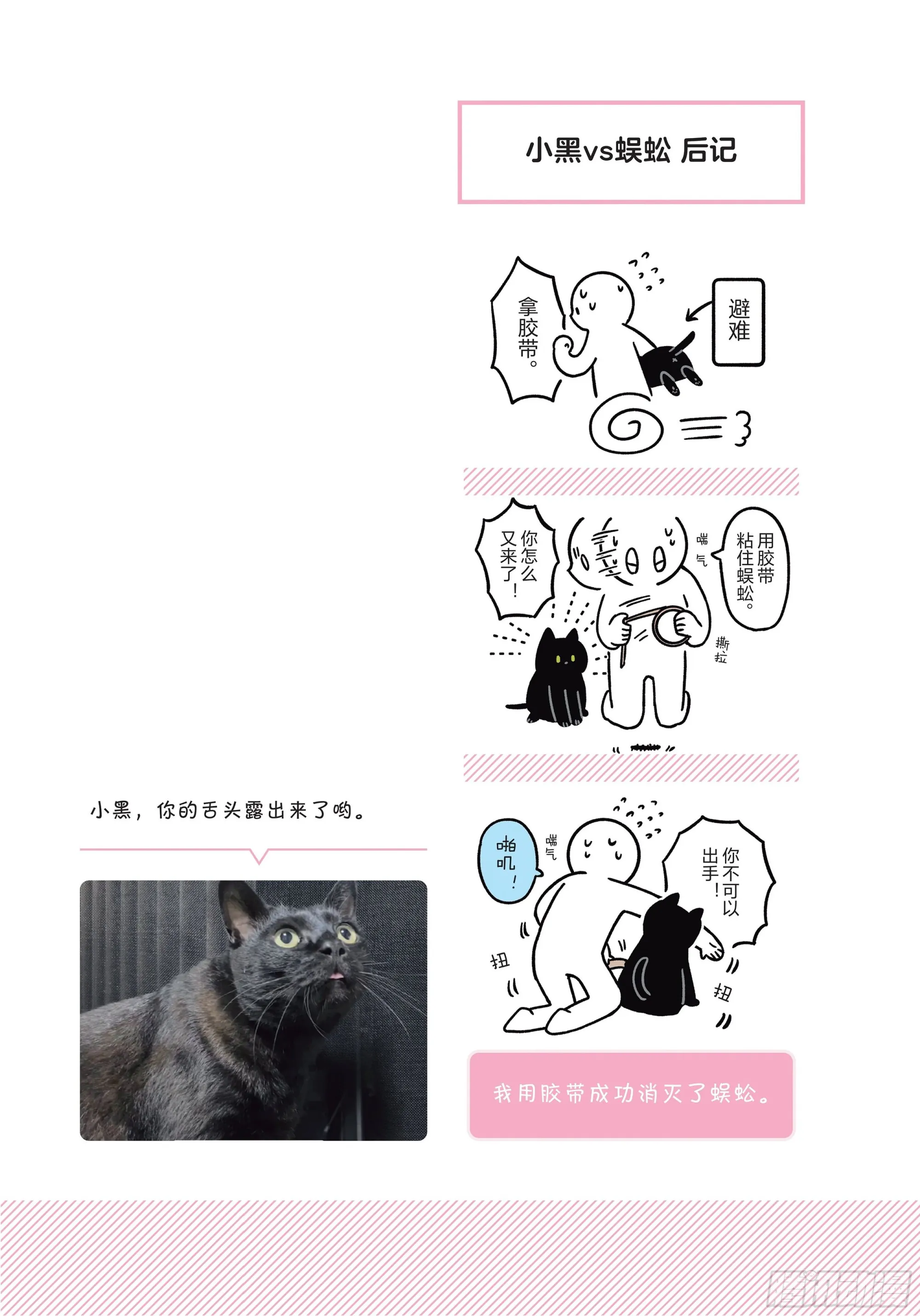 第6章 猫咪的温柔可以治愈人心 第17页