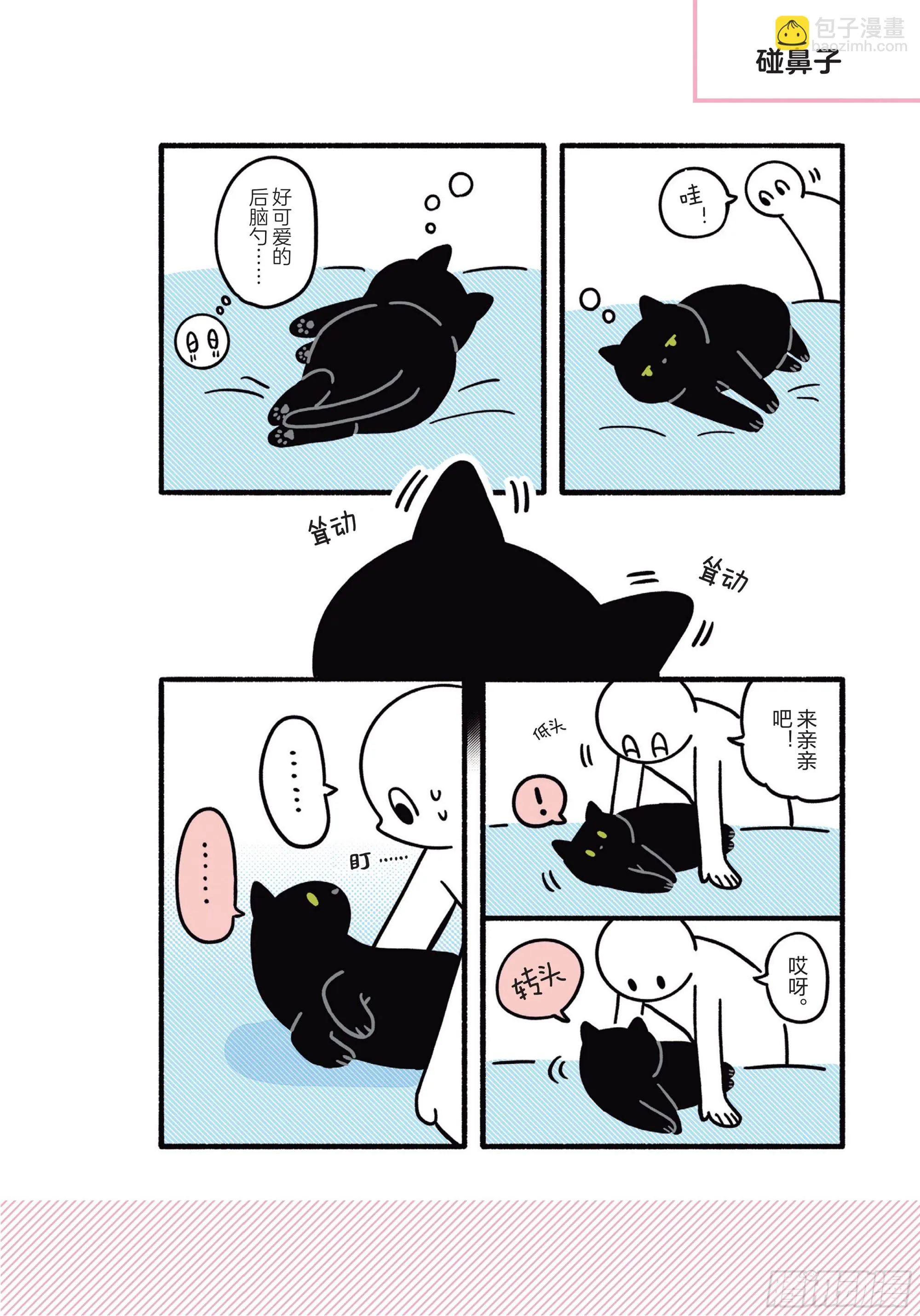 第6章 猫咪的温柔可以治愈人心 第18页