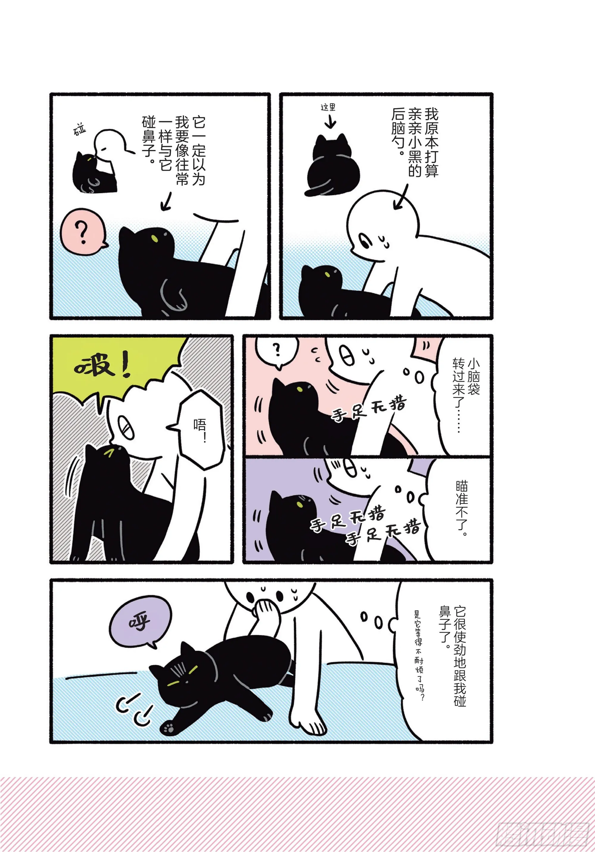 第6章 猫咪的温柔可以治愈人心 第19页
