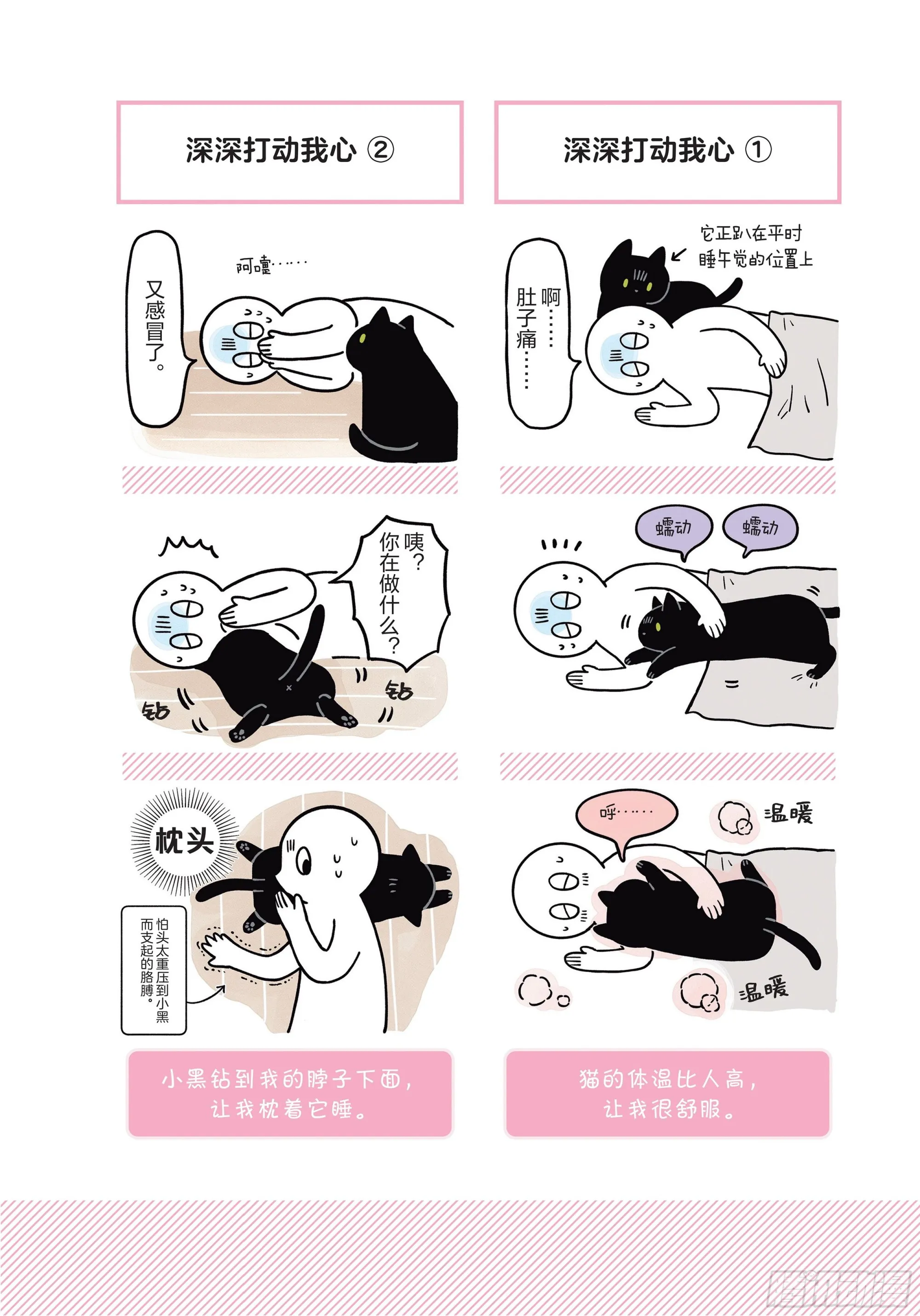 第6章 猫咪的温柔可以治愈人心 第20页